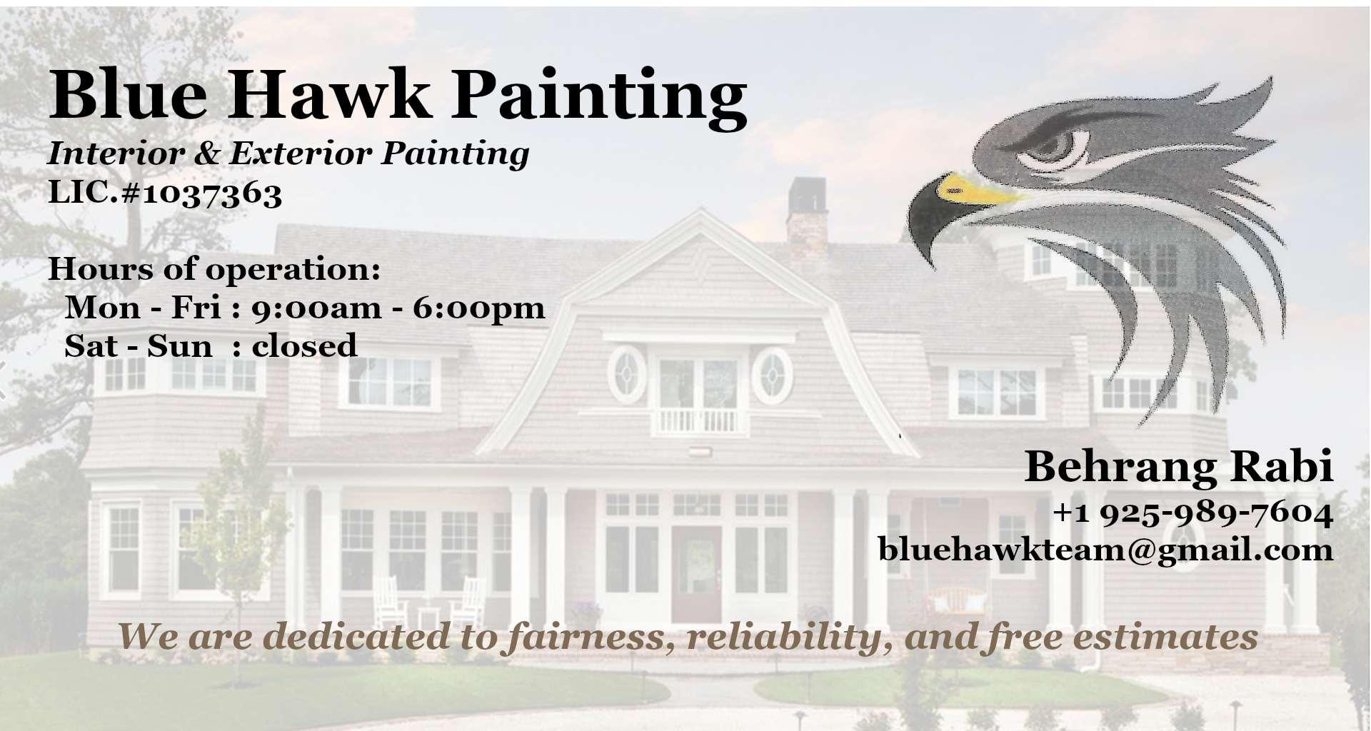 Blue Hawk